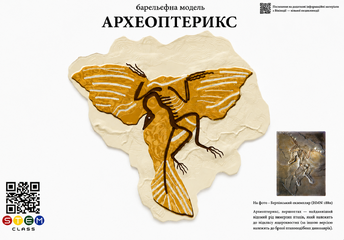 Барельєфна модель «Археоптерикс»  <br> Тип 1
