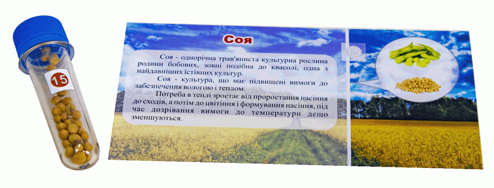 Колекція 
