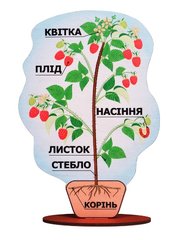 Модель 