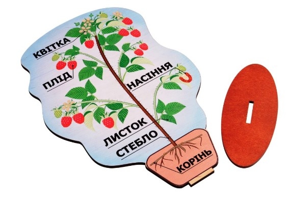 Модель 