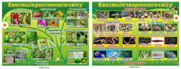 Комплект стендов для кабинета биологии №4