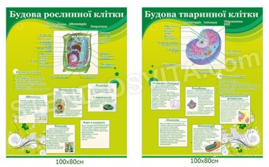 Комплект стендів «Будова рослинної та тваринної клітин»