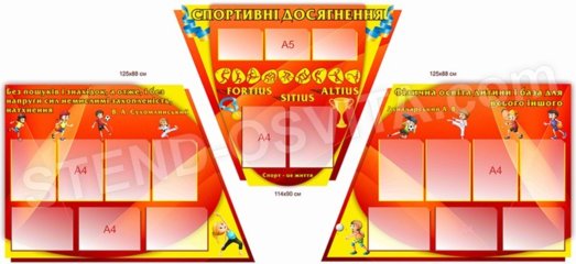 Комплект стендов «Спортивные достижения»