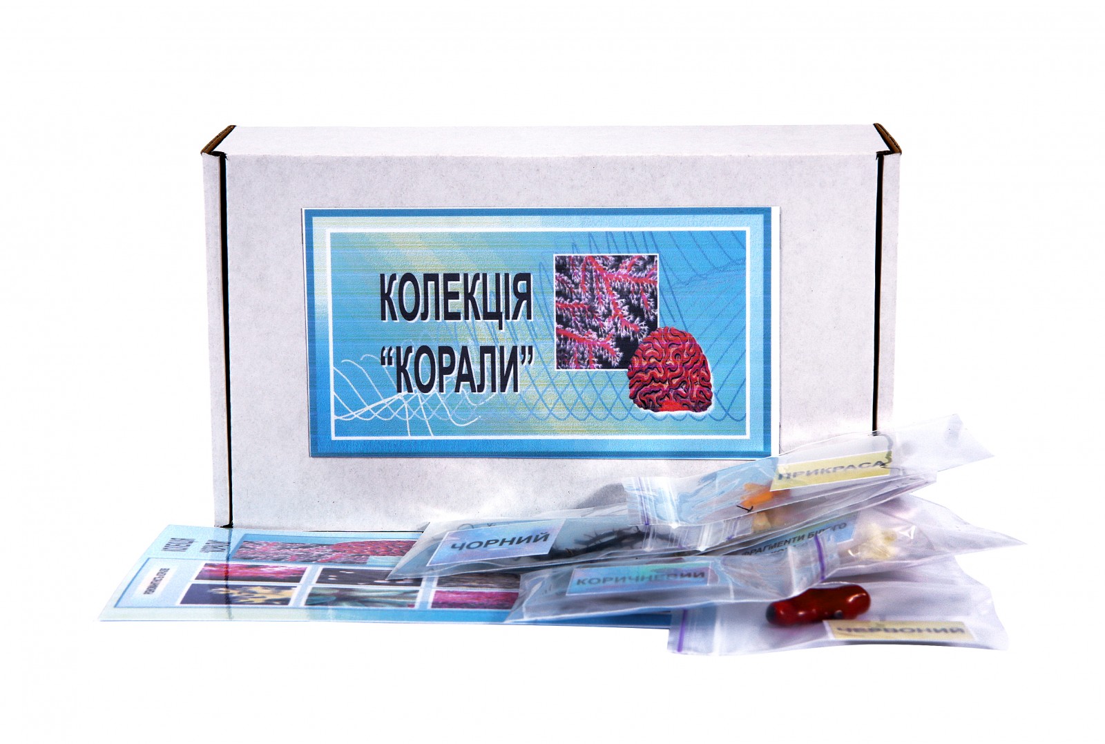 Коллекция 